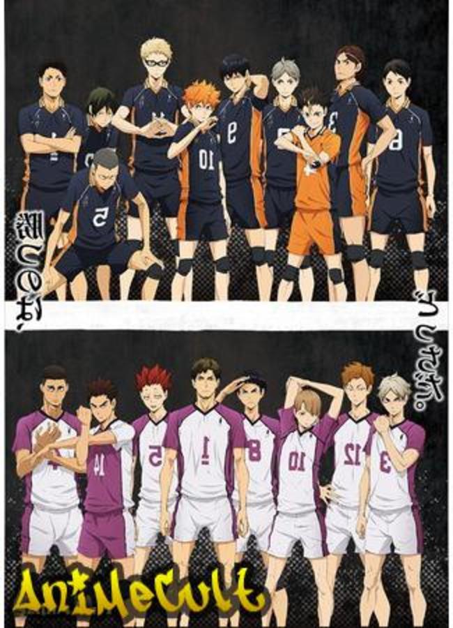 Аниме - Волейбол!!! Старшая школа Карасуно против академии Сираторидзава - картинка 3