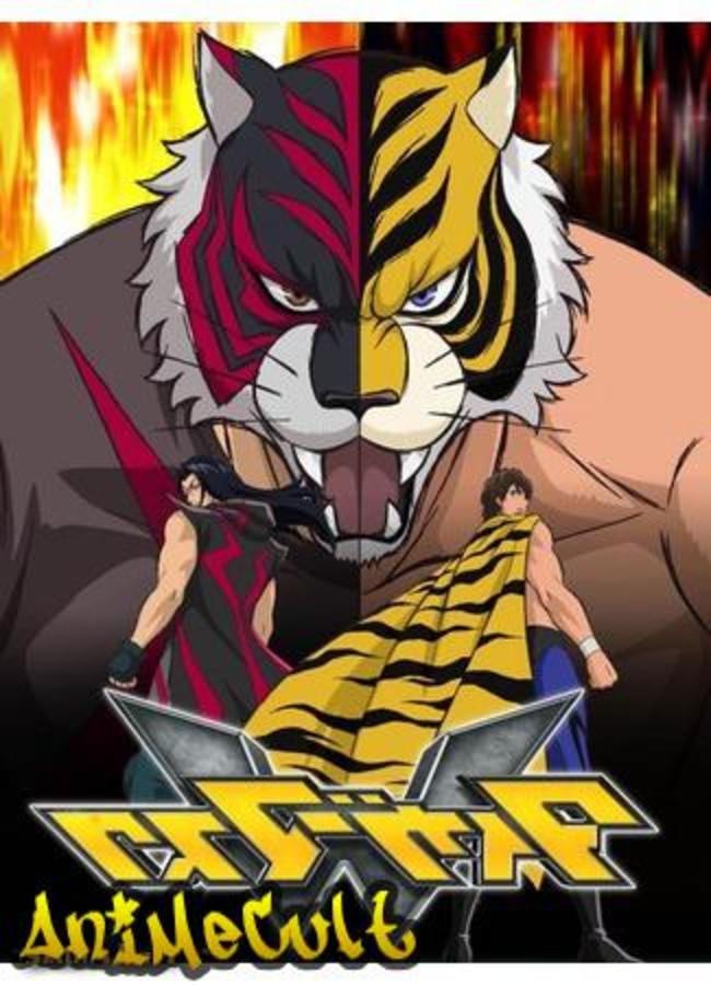 Аниме - Тигровая маска W - картинка 1